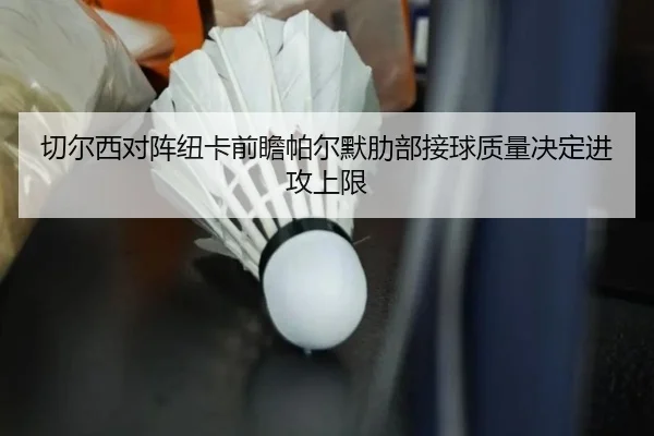 切尔西对阵纽卡前瞻帕尔默肋部接球质量决定进攻上限